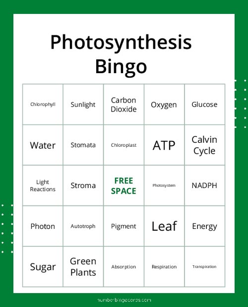 Photosynthesis Bingo