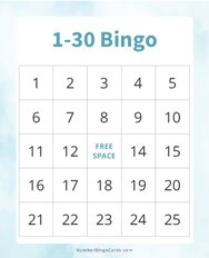 1-30 Bingo