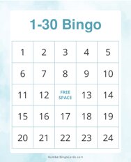 1-30 Bingo