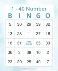 1-40 Number Bingo