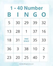 1-40 Number Bingo