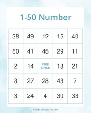 1-50 Number Bingo