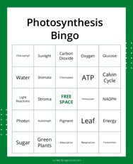 Photosynthesis Bingo