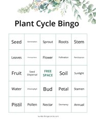 Plant Cycle Bingo