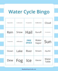 Water Cycle Bingo